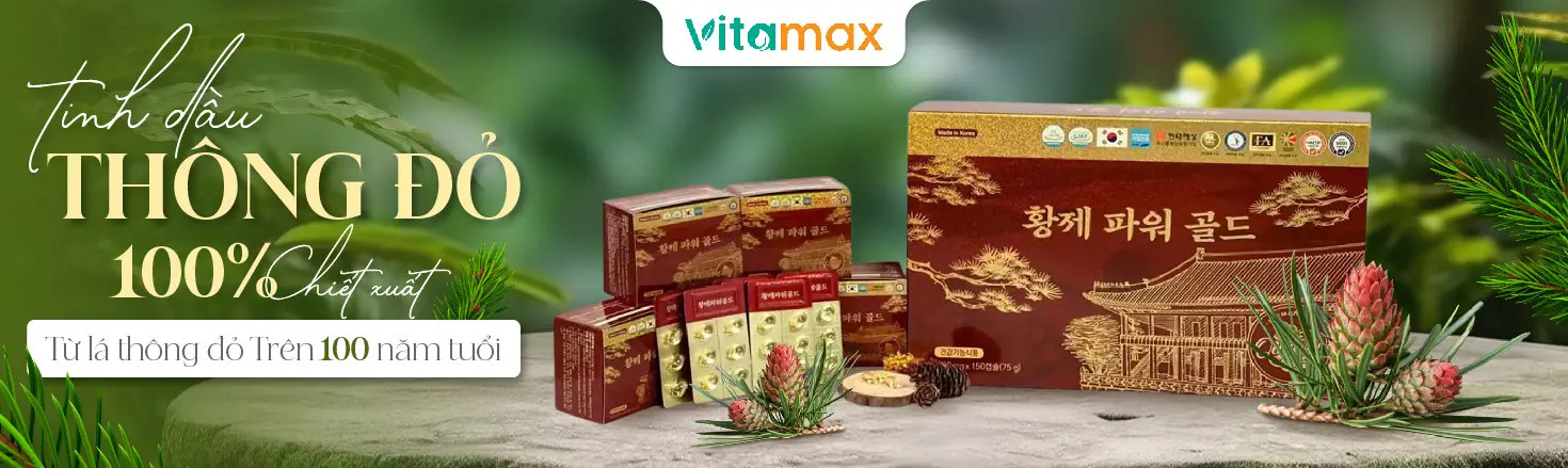 Tinh dầu thông đỏ được chiết xuất từ lá thông đỏ trên 100 năm tuổi