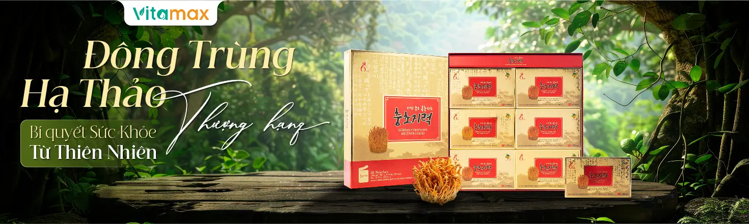 Đông trùng hạ thảo là bí quyết cho sức khoẻ từ thiên nhiên